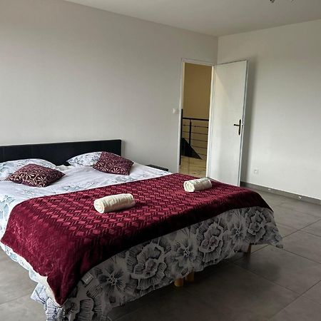 Magnifique Villa Avec Piscine Beaujolais Gleizé Eksteriør billede